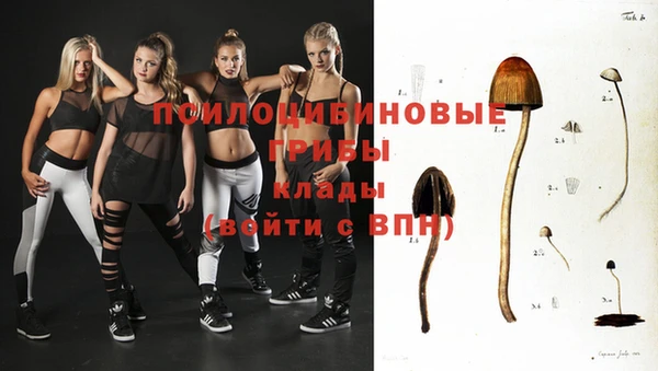 ALPHA PVP Дмитров