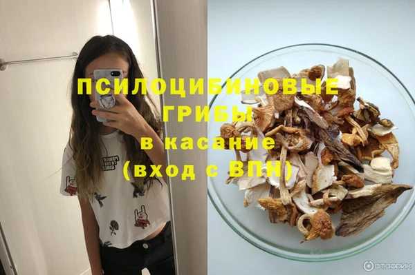 ALPHA PVP Дмитров