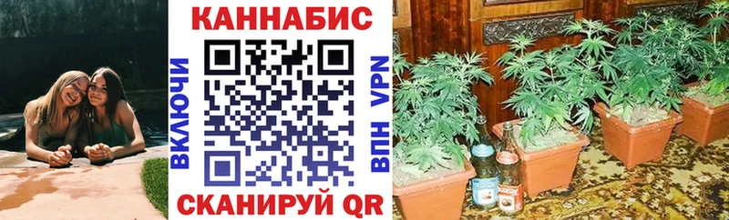 даркнет сайт Знаменск Канабис ГИДРОПОН